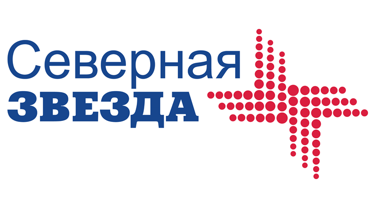 Северная звезда logo